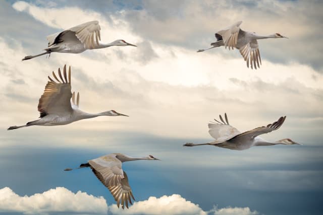 The Cloud Migration Checklist: Ensuring a Smooth Transition